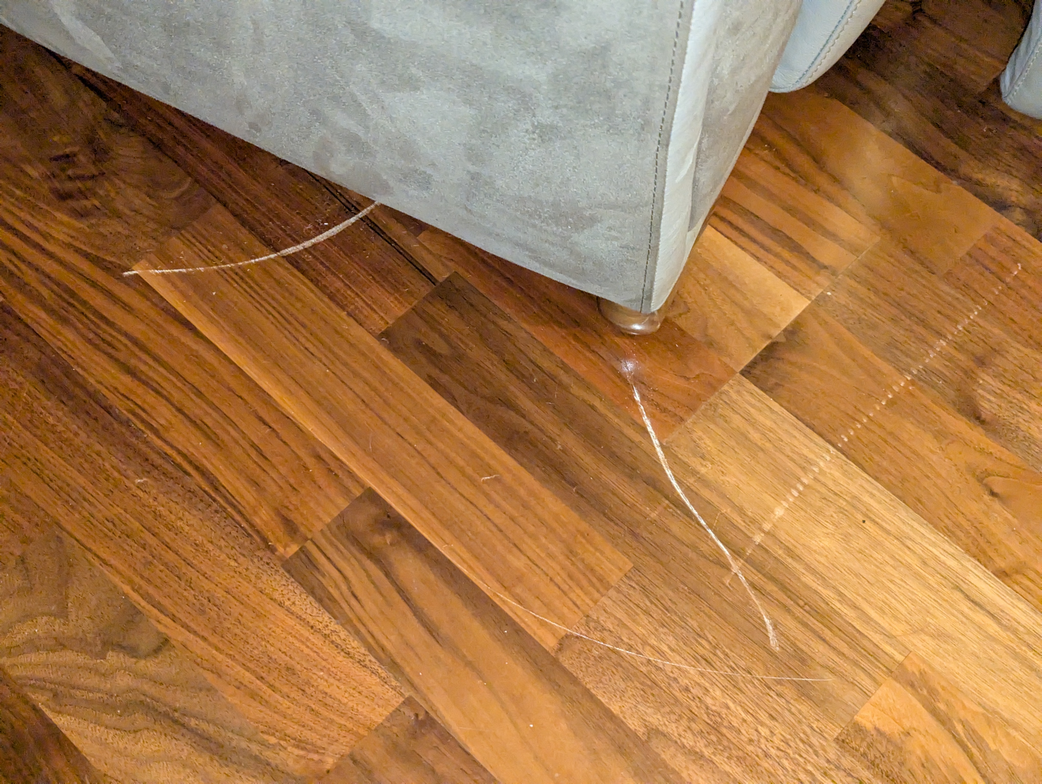 Sofa scratching floor (8).jpg